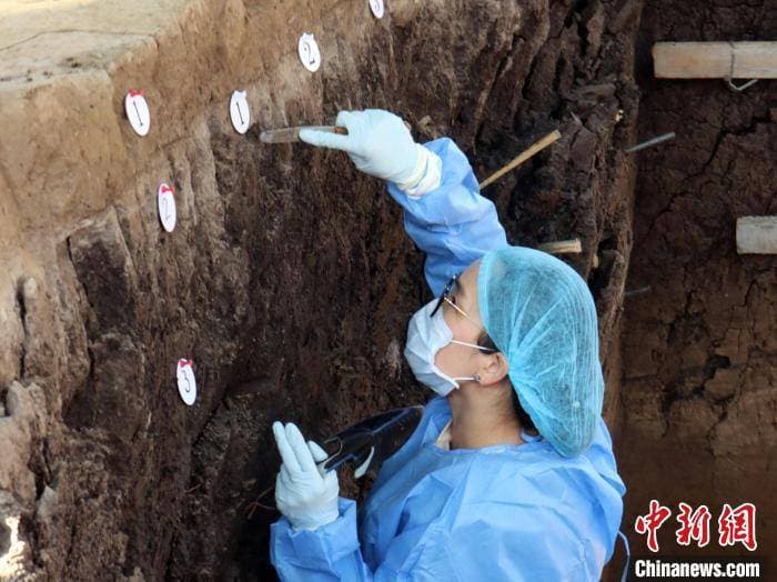 和龙大洞遗址发掘展现长白山地区石器工业演化历程