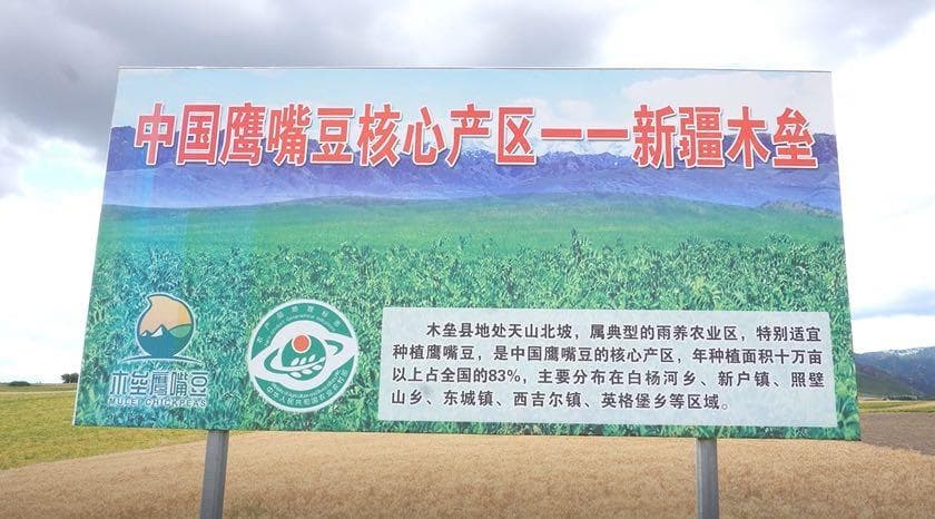 人大代表守望乡土·新疆鹰嘴豆推进农业转型升级