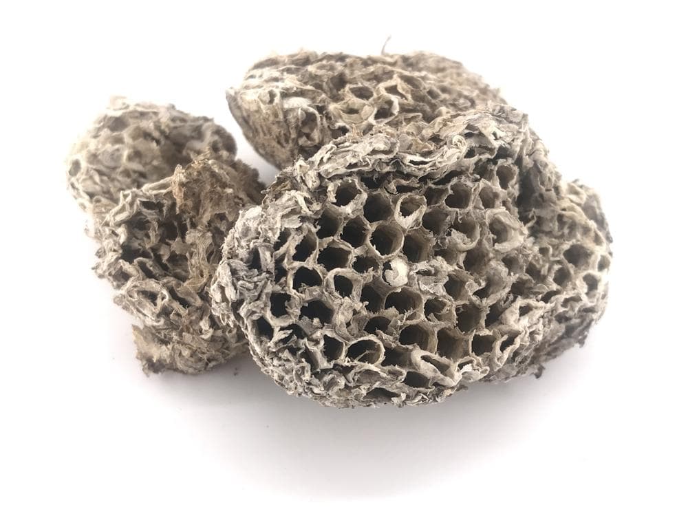 蜂房的功效与作用