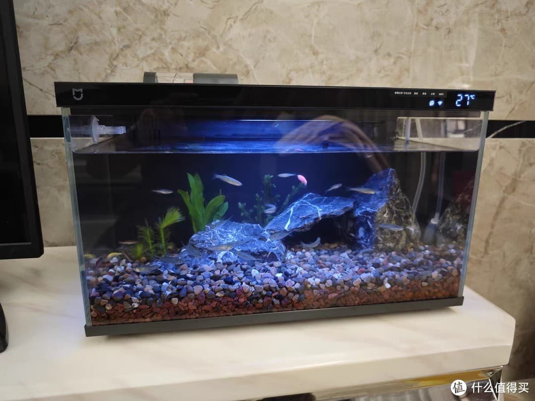 鱼缸怎么选？看这篇，拒绝做鱼盲！