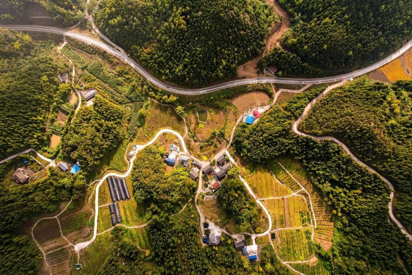 重庆垫江：生态为基 “带”出美丽乡村新活力