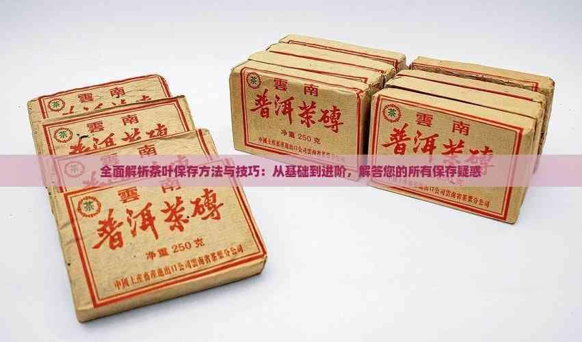 茶叶的保存条件