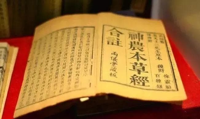 涨“芝”识丨灵芝入五经调五脏，对身体都有哪些惊喜作用？
