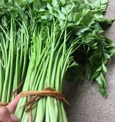 水芹菜，一种多功能的蔬菜（了解水芹菜的营养价值、烹饪方法和食用禁忌）