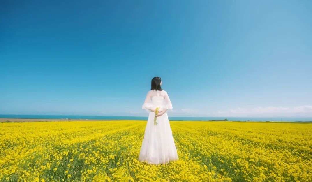 《黄帝内经·素问》：《生气通天论》原文及译文