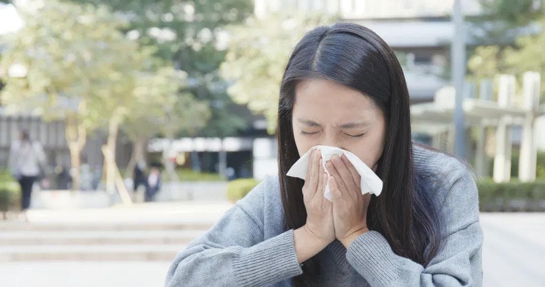 辛芩颗粒：中医治疗风寒型鼻炎的综合方剂