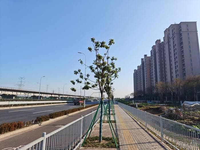 上海奉贤一小区临近铁路国道，居民反映噪声污染严重