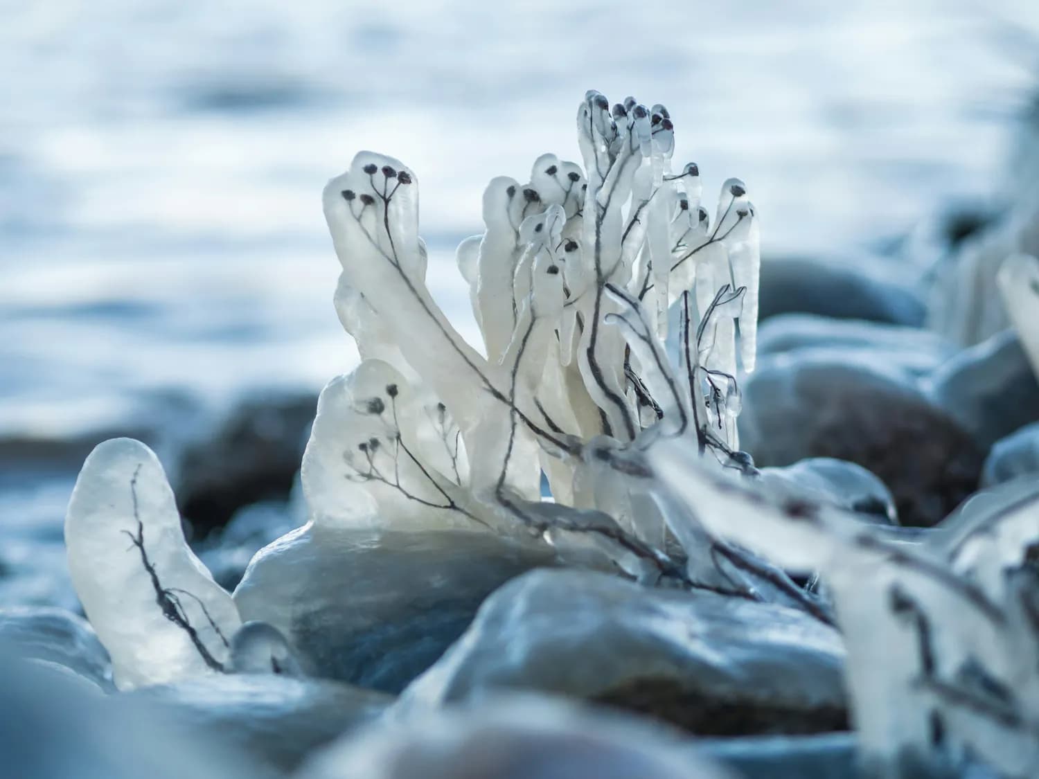 冬游威海：“雪窝子”里的冰河奇观与滑雪乐趣