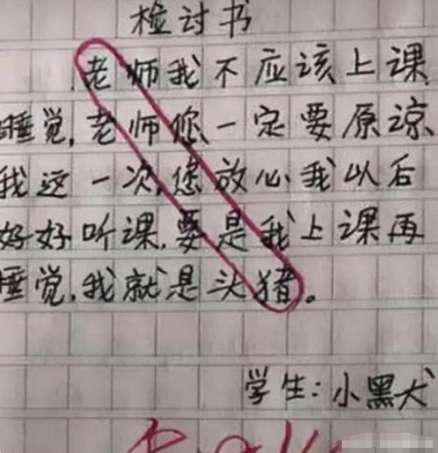 检讨书里的孩子心：如何引导小学生正确面对错误