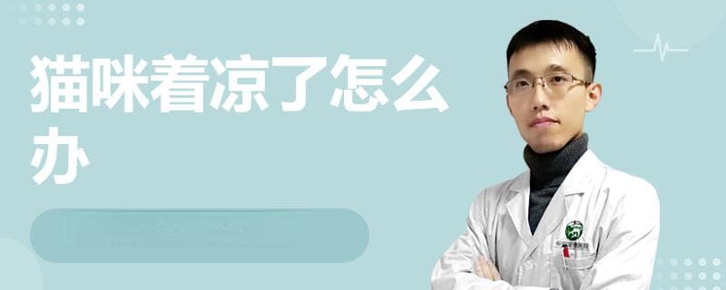 猫咪着凉了怎么办？这份实用指南请收好