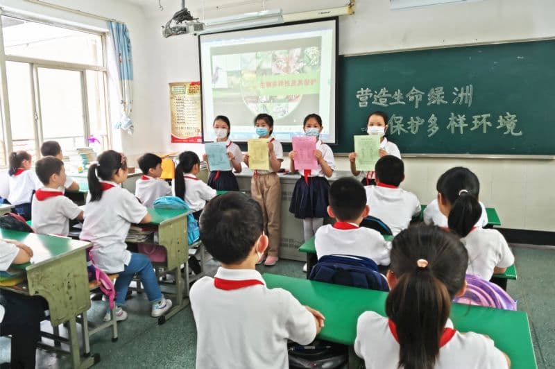 从校园植物感受生物多样性的意义