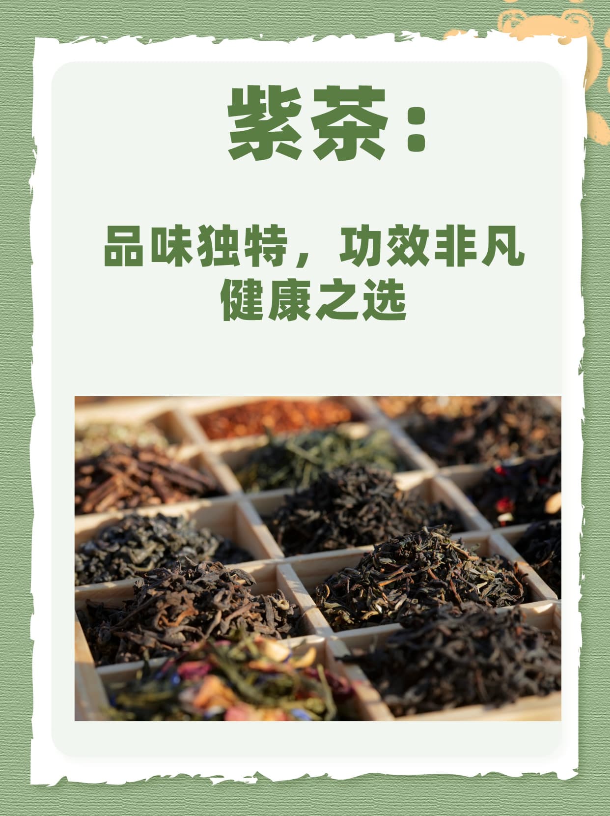 紫茶：品味独特，功效非凡的健康之选