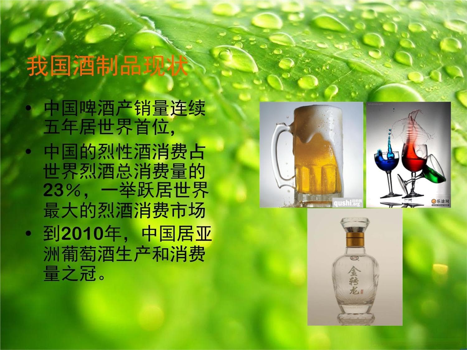 中国酒精性肝病患病率攀升，专家详解诊断与治疗