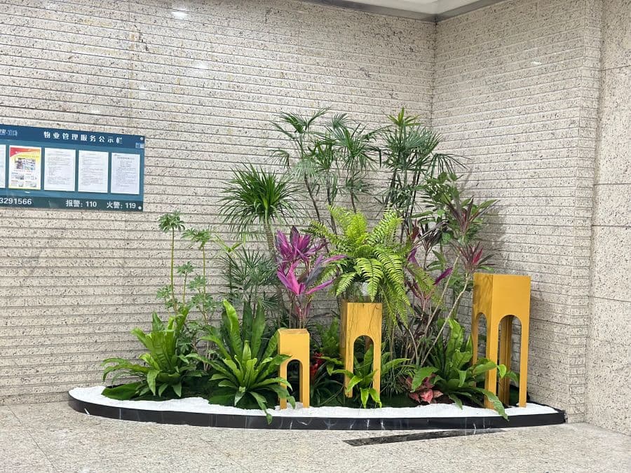 室内绿植造景：将自然之美融入家居生活