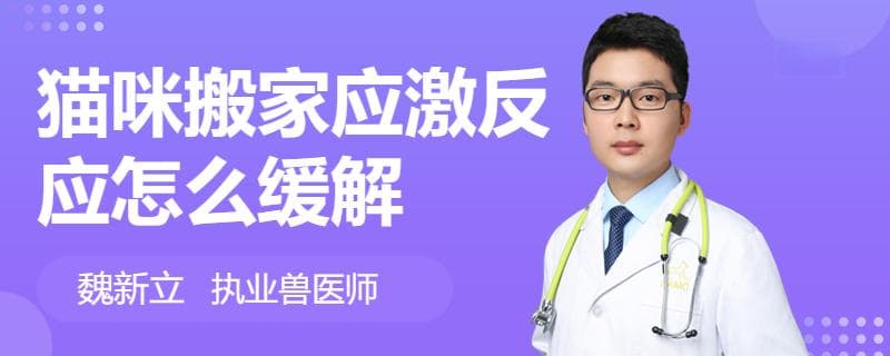 猫咪搬家应激反应怎么缓解