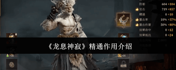 龙息神寂精通效果全解析：提升战力的关键属性详解