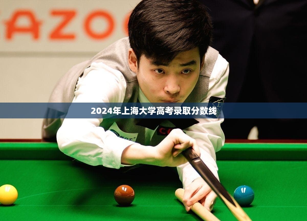 2024年上海大学高考录取分数线分析