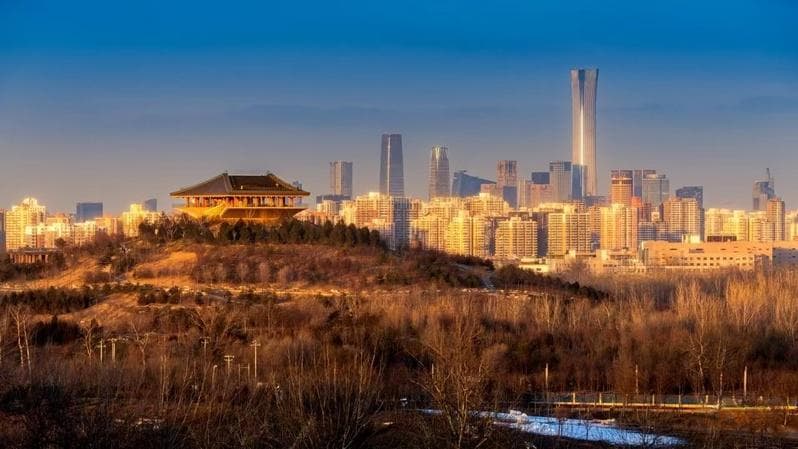 在森林里，建一座城市观景台