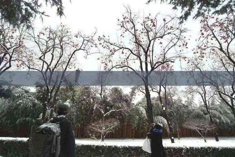 探索海南必游胜地：天涯海角的美景与文化全解析