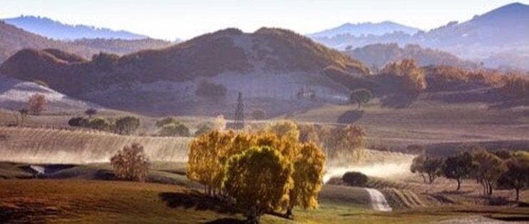 成功后的冷静：如何避免自满，持续进步