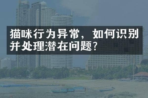 猫咪行为异常，如何识别并处理潜在问题？
