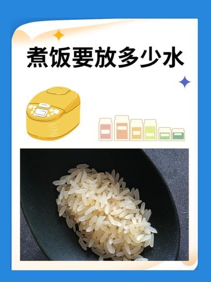 煮饭三杯米放多少水？完美比例轻松煮出香甜米饭!