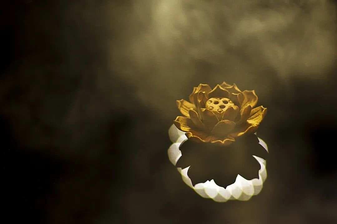 叔本华：获得幸福的四个人生智慧