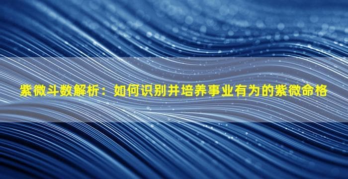 紫微斗数解析：如何识别并培养事业有为的紫微命格