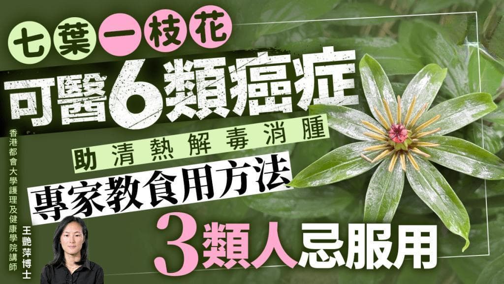 七叶一枝花可医6类癌症 助清热解毒消肿 专家教食用方法+3类人忌服