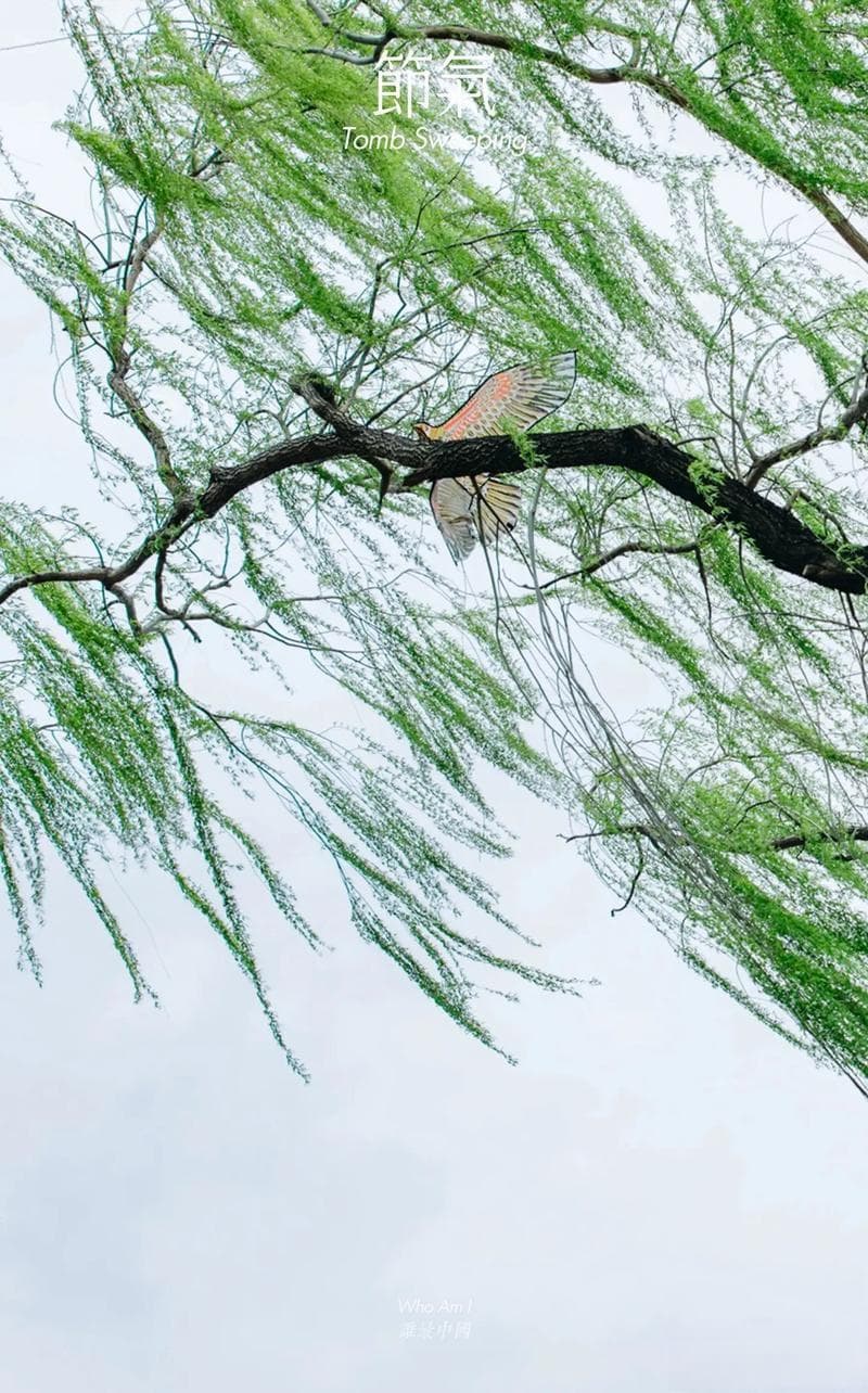 虚伪行为的心理根源与社会危害