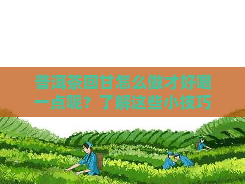 普洱茶回甘怎么做才好喝一点呢？了解这些小技巧