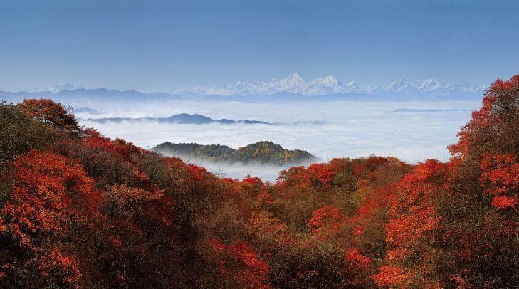 2025四川峨眉山游玩攻略(附门票+地址+营业时间)