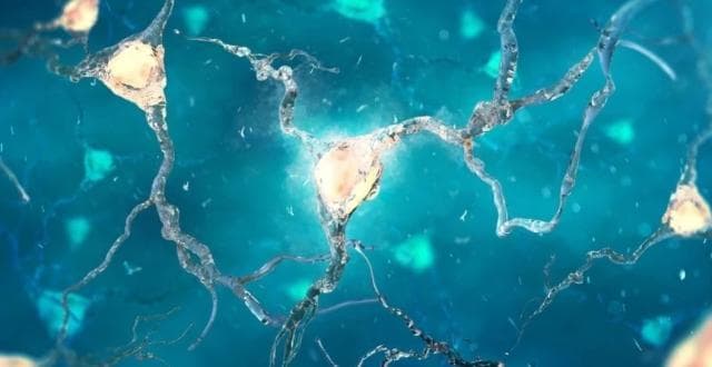 《科学》：致幻剂发挥抗焦虑作用的神经元，终于找到了！