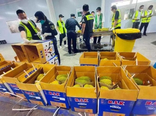 泰国榴莲：一年狂赚300亿，却拿致癌物当“卖点”？