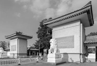 南京林业大学：完善志愿服务体系 服务育人工作创新发展