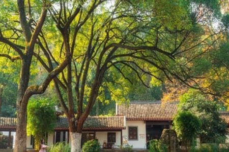 岳麓书院：千年学府的建筑与文化