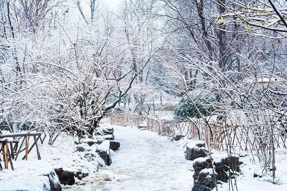 大寒节气：顺时养生，效果翻倍