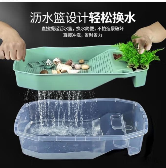养乌龟需要哪些东西？推荐一些养龟好物