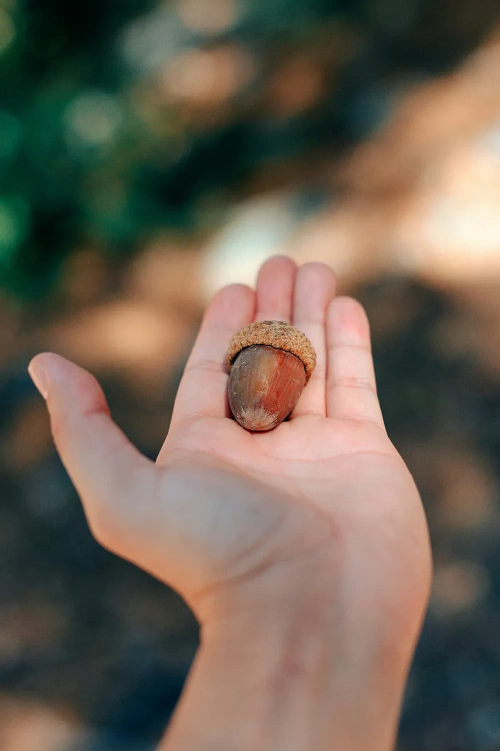 英语达人教你：如何正确区分"small"与"little"