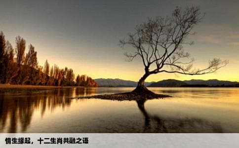 情这个字组成语但要加十二生肖的名字