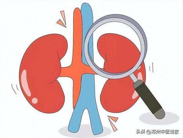 尿毒症无尿的中医治疗探索