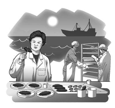 朱蓓薇院士领衔，攻克海参贝类加工技术难题
