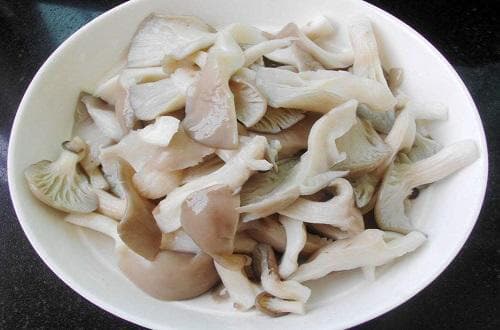 平菇的营养价值
