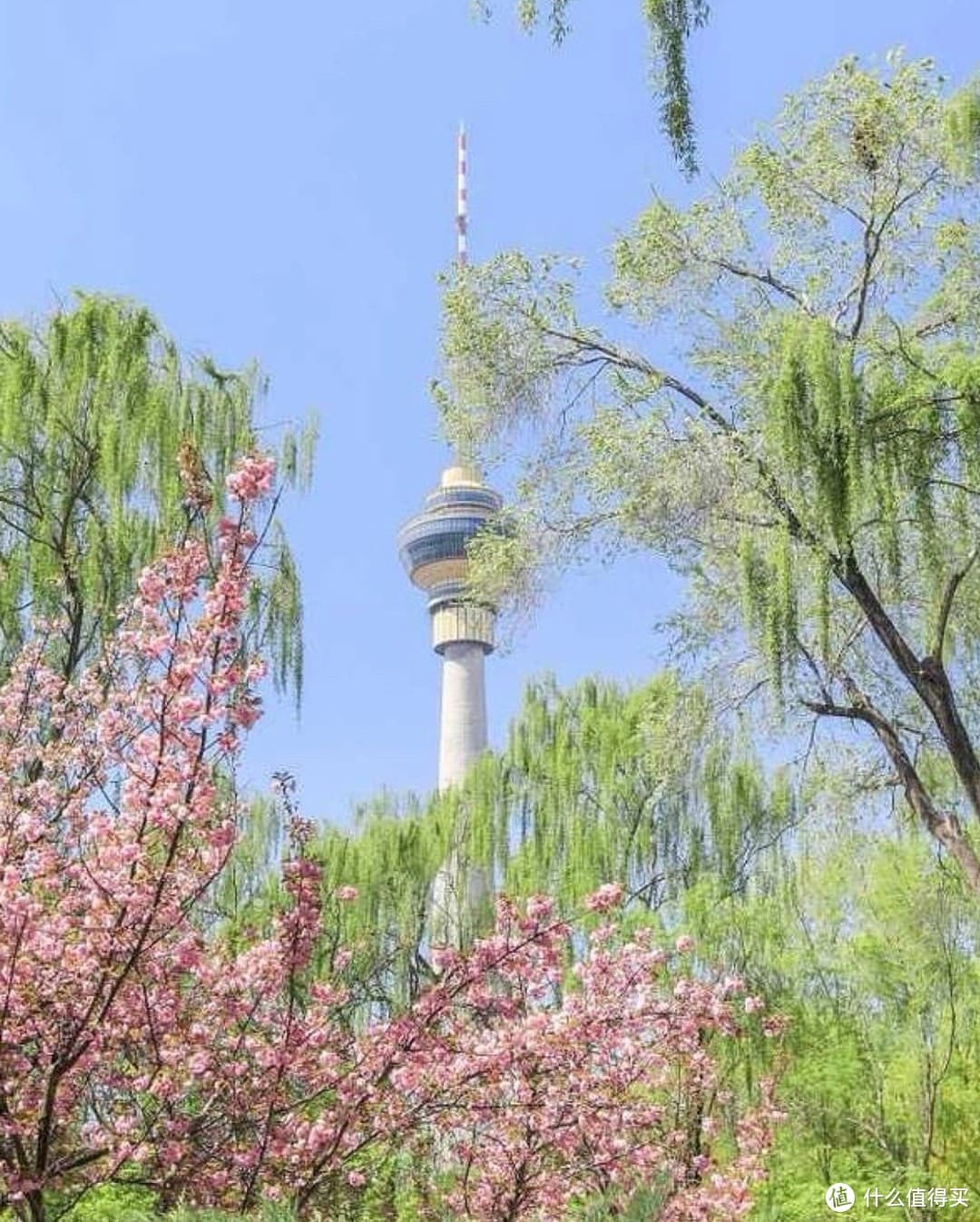 玉渊潭公园：城市中的绿洲