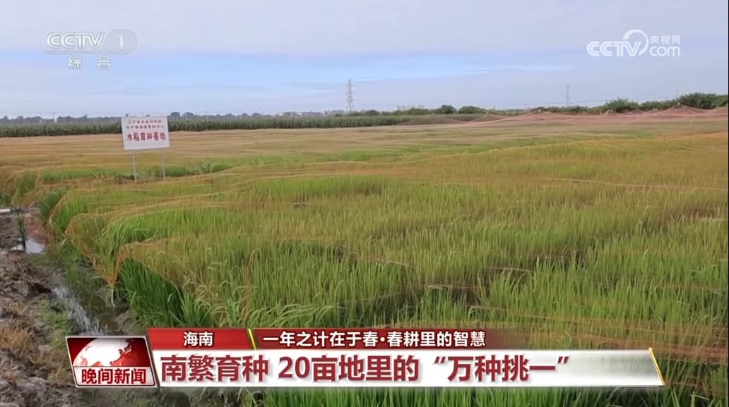 “定制营养”促丰收、一块屏幕“管”万亩田……科技为田间增添新活力