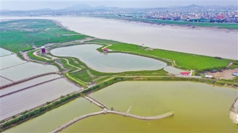 生态文明｜添彩木兰溪治理25周年 木兰溪口省级湿地公园开建