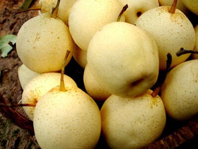 冬季养生水果大集合：这些水果最适合寒冷干燥的冬季食用