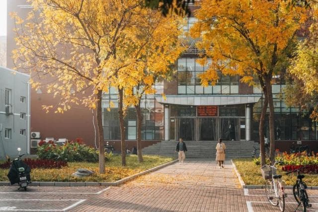 北京师范大学怎么样？一文了解：它除教育学之外的“看家本领”