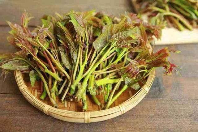 香椿再次成为关注对象！医生叮嘱：吃香椿时，尽量要注意这4点