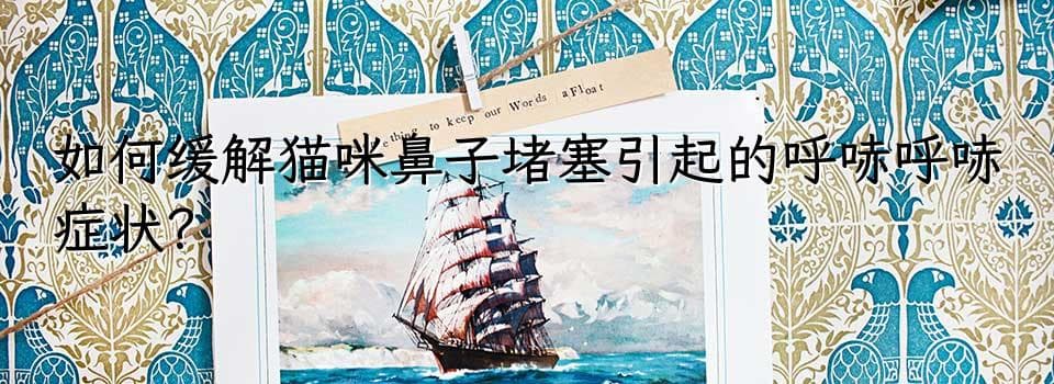 如何缓解猫咪鼻子堵塞引起的呼哧呼哧症状？